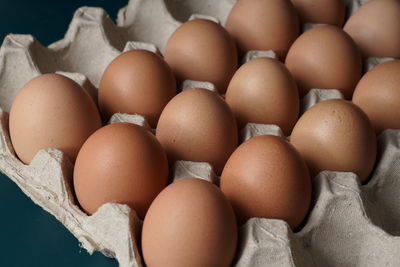 High angle view of eggs in container