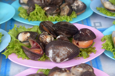 High angle view of mushrooms in plate on table