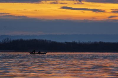 Silhouette swans on lake against sky during sunset