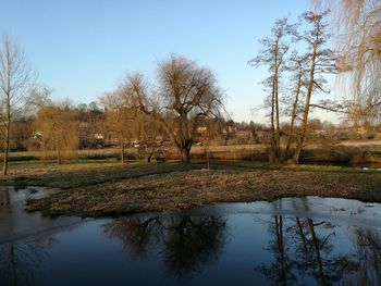 Reflection of trees in lake against sky