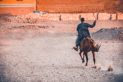 Man riding horse on field at sunset