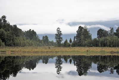 Reflection of trees on lake against sky