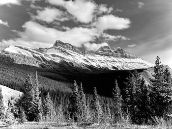 Scenic view of snow covered field against sky