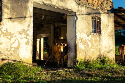 View of an abandoned building