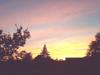 Silhouette trees against sky during sunset