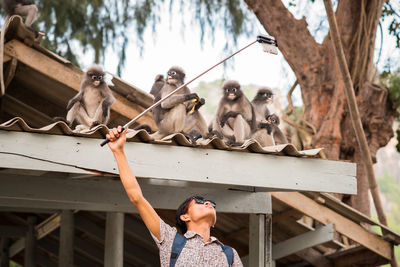 Man taking selfie of monkeys sitting on roof