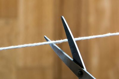 Close-up of scissors cutting rope