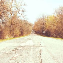 Empty road along trees