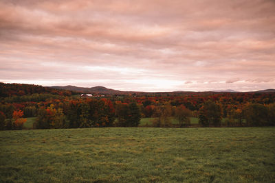 Scenic view of field against sky during autumn