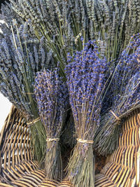 Close-up of purple flowering plants on field