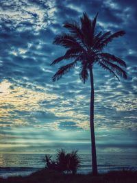 Low angle view of silhouette palm tree at beach against sky