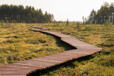 Ecological hiking wooden trail in national park through peat bog swamp