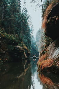 River amidst rock formations in forest