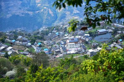 High angle view of townscape and trees in village