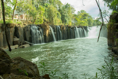 Scenic view of waterfall in forest