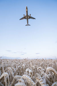 Low angle view of airplane flying in sky