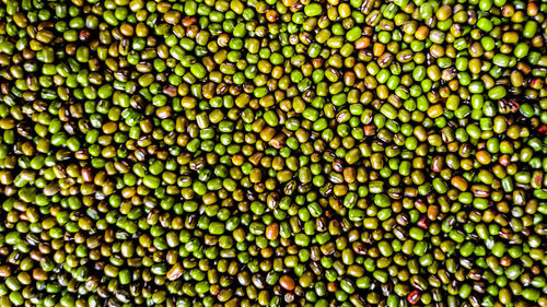 Full frame shot of green beans