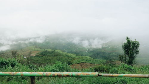 Landscape with mountain range in background