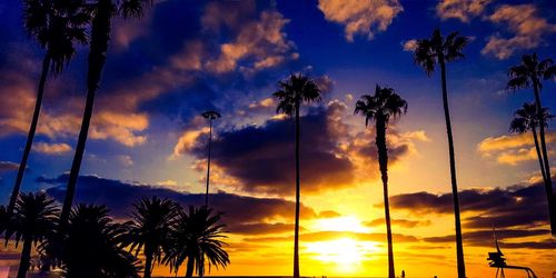 Low angle view of silhouette trees against sky during sunset