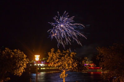 Firework display over river against sky at night