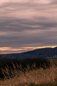 Scenic view of field against sky during sunset