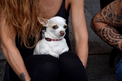 Midsection of woman with dog sitting outdoors