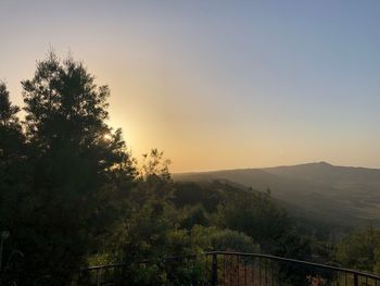 Scenic view of forest against sky at sunset