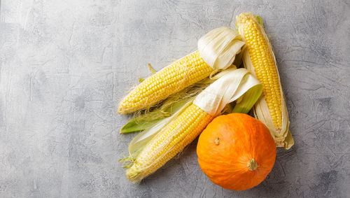 High angle view of orange against white background