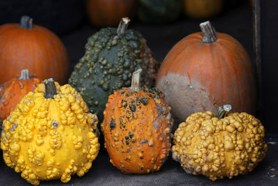 Close-up of pumpkins for sale in market