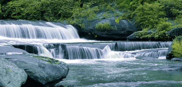 Scenic view of waterfall in forest