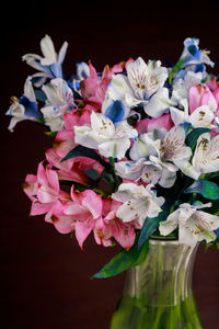 Close-up of pink flowers on table