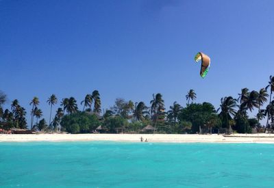 Tourists enjoying paragliding at beach