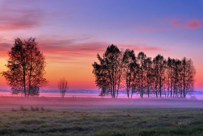 Trees on snow covered field against sky during sunset