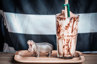 Close-up of animal on table