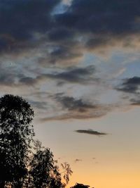 Low angle view of silhouette trees against sky at sunset