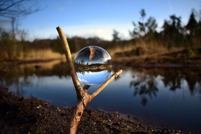 Close-up of reflection of trees on water