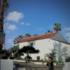 Low angle view of palm trees against blue sky