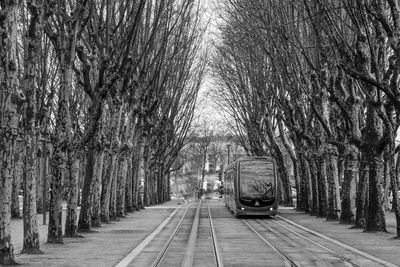 Train on tracks amidst bare trees