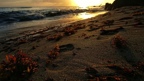 Scenic view of beach against sky during sunset