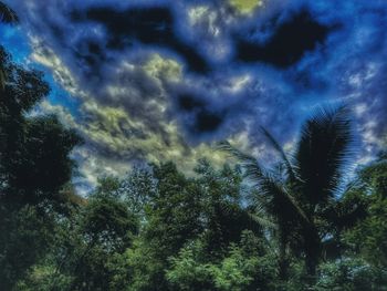 Low angle view of trees against sky