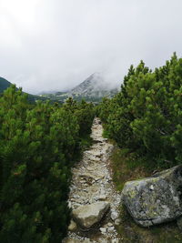 Scenic view of mountain against sky