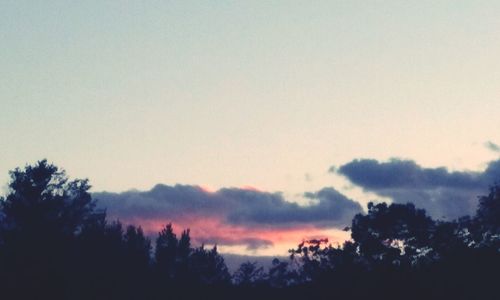 Silhouette trees against sky during sunset