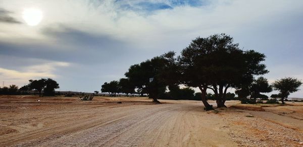 Trees on field against sky