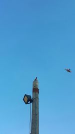 Low angle view of bird flying in sky