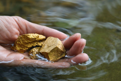 Close-up of hand holding gold in lake