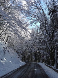 Road amidst bare trees during winter