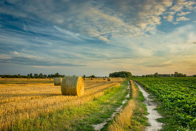 Hay bales on field against sky