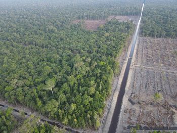 High angle view of road amidst trees in city