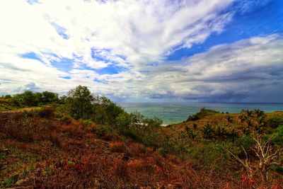 Scenic view of sea against sky