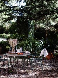 Table and chairs and plants in yard